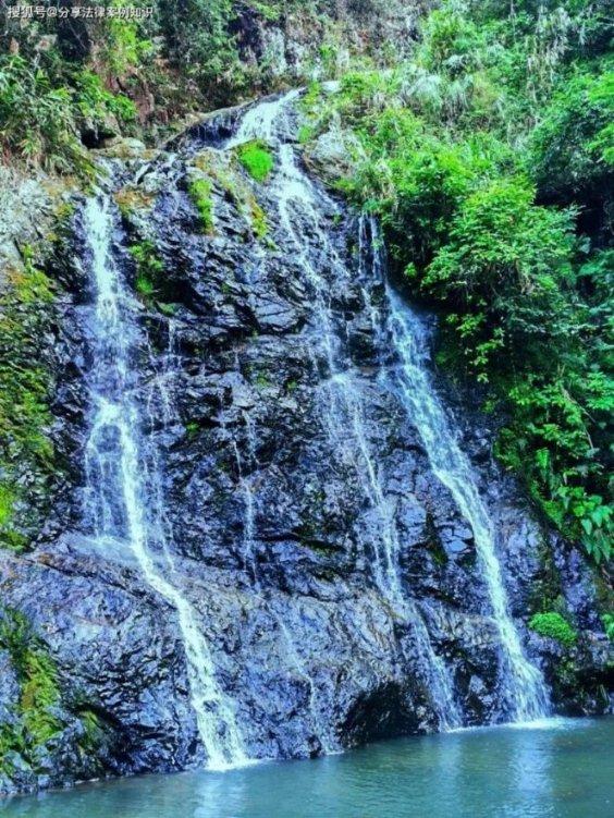“进山”打年货 “土货”变好礼